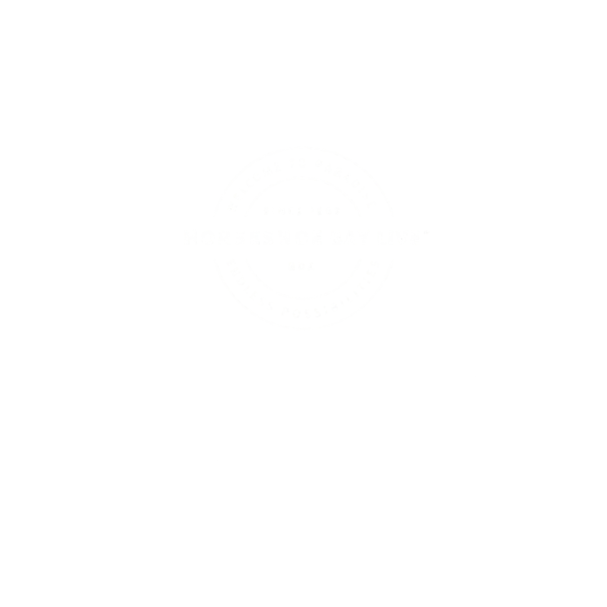 hbl website logo